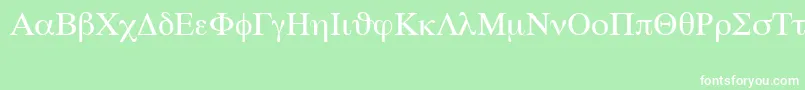 SymbolSetSwa Font – White Fonts on Green Background