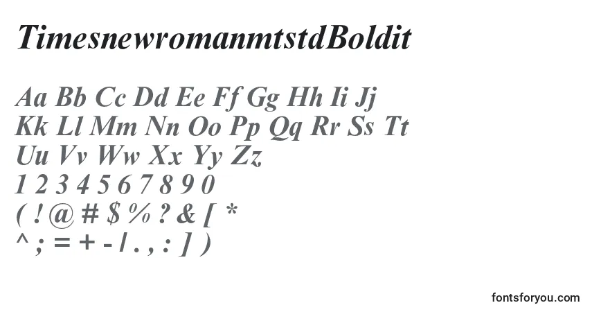 A fonte TimesnewromanmtstdBoldit – alfabeto, números, caracteres especiais