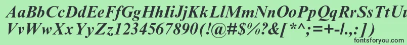 TimesnewromanmtstdBoldit Font – Black Fonts on Green Background