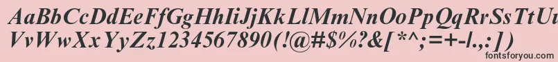 TimesnewromanmtstdBoldit Font – Black Fonts on Pink Background