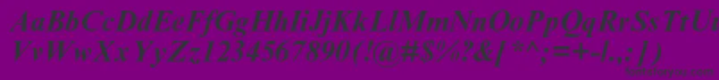 TimesnewromanmtstdBoldit-Schriftart – Schwarze Schriften auf violettem Hintergrund