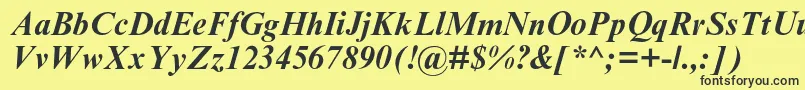 TimesnewromanmtstdBoldit Font – Black Fonts on Yellow Background