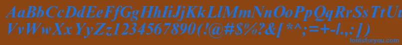 TimesnewromanmtstdBoldit Font – Blue Fonts on Brown Background