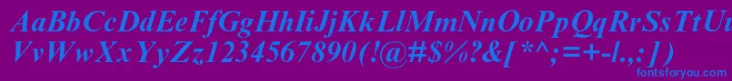 TimesnewromanmtstdBoldit Font – Blue Fonts on Purple Background