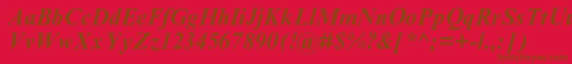 TimesnewromanmtstdBoldit Font – Brown Fonts on Red Background