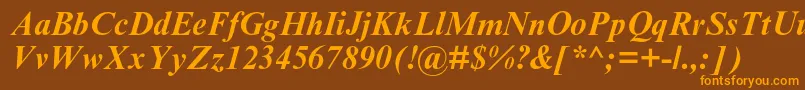 TimesnewromanmtstdBoldit Font – Orange Fonts on Brown Background