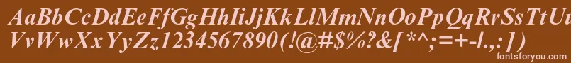 TimesnewromanmtstdBoldit Font – Pink Fonts on Brown Background