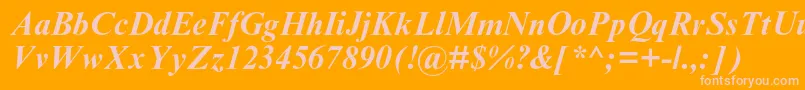 TimesnewromanmtstdBoldit Font – Pink Fonts on Orange Background