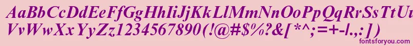 TimesnewromanmtstdBoldit Font – Purple Fonts on Pink Background