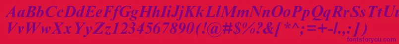 TimesnewromanmtstdBoldit Font – Purple Fonts on Red Background