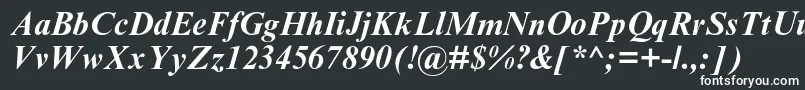 TimesnewromanmtstdBoldit Font – White Fonts on Black Background
