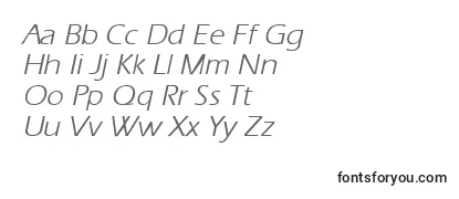 ErgoeItalic Font