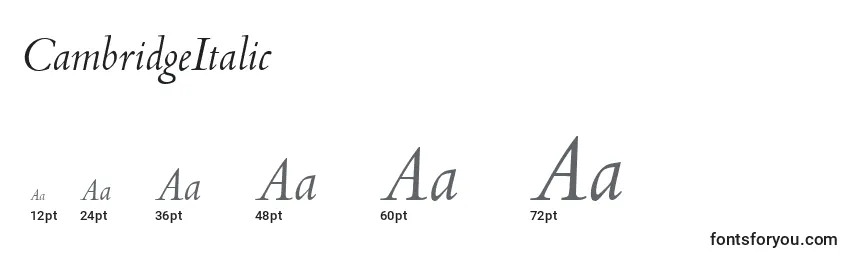 CambridgeItalic Font Sizes
