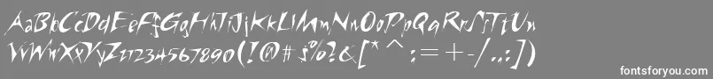 RiptideitcTt Font – White Fonts on Gray Background