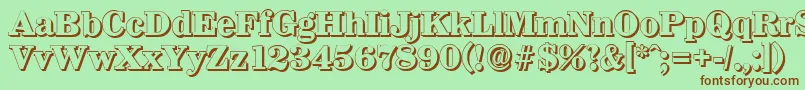 WichitashadowXboldRegular Font – Brown Fonts on Green Background