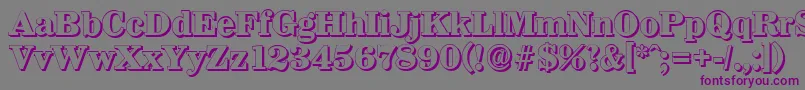 WichitashadowXboldRegular Font – Purple Fonts on Gray Background