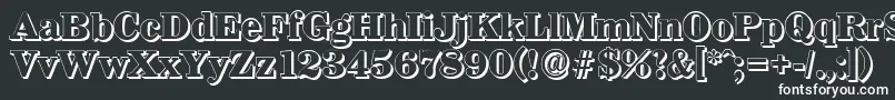 WichitashadowXboldRegular Font – White Fonts on Black Background