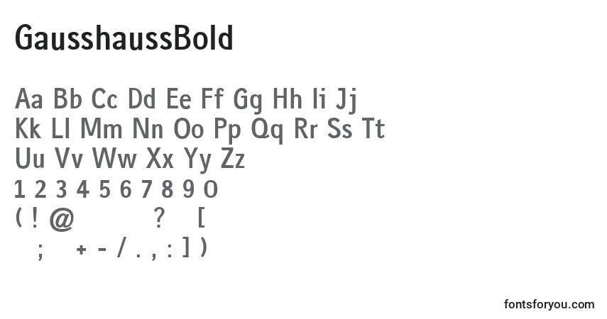 Schriftart GausshaussBold – Alphabet, Zahlen, spezielle Symbole