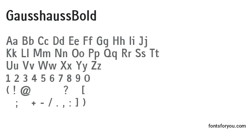 Fuente GausshaussBold - alfabeto, números, caracteres especiales