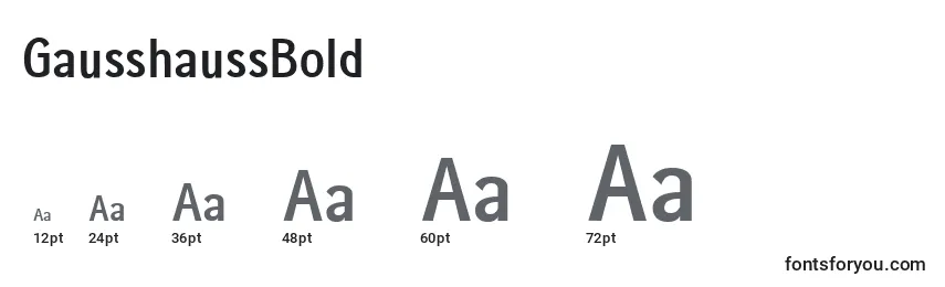 GausshaussBold Font Sizes
