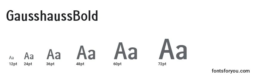 Размеры шрифта GausshaussBold