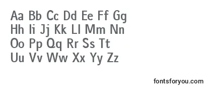 GausshaussBold Font