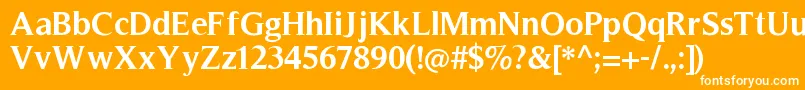 Weitere Informationen zur TimelessBold-Schriftart TimelessBold-Schriftart – Weiße Schriften auf orangefarbenem Hintergrund