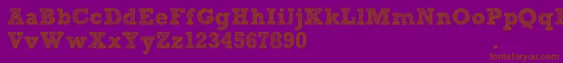 SketchBlock Font – Brown Fonts on Purple Background