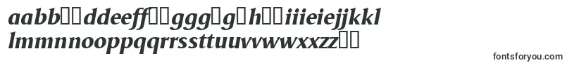 フォントOdenseXboldItalic – マルタのフォント
