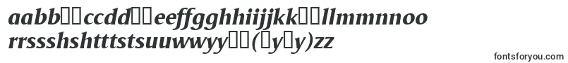 フォントOdenseXboldItalic – ハウスフォント