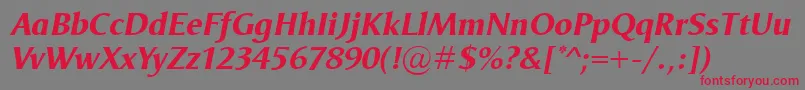 OdenseXboldItalic Font – Red Fonts on Gray Background