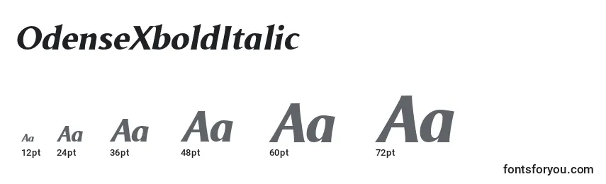 Размеры шрифта OdenseXboldItalic