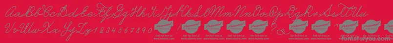 CastroscriptPersonalUseOnly Font – Gray Fonts on Red Background