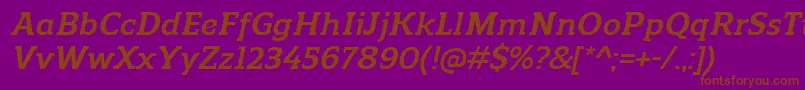 Czcionka ReganslabBolditalic – brązowe czcionki na fioletowym tle