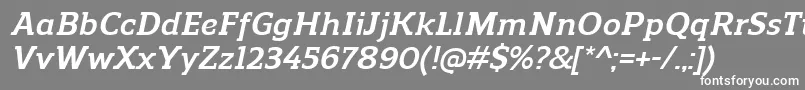 ReganslabBolditalic Font – White Fonts on Gray Background