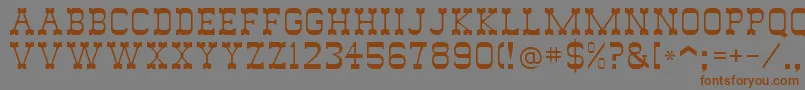 SlimmerPickensSsi Font – Brown Fonts on Gray Background