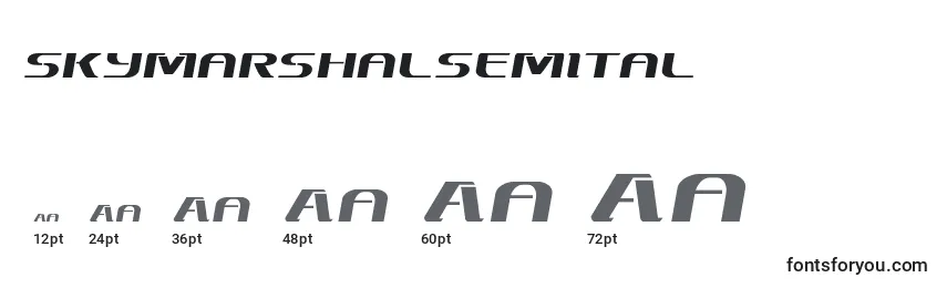 Skymarshalsemital Font Sizes