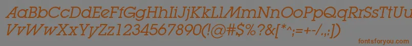 LugabookadcItalic Font – Brown Fonts on Gray Background