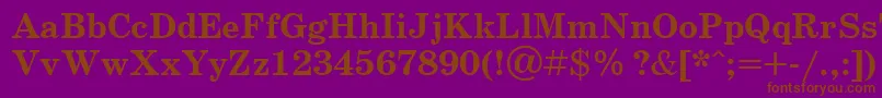 SchoolbookcttBold Font – Brown Fonts on Purple Background