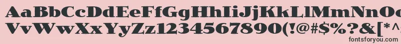 JimbostdBlack Font – Black Fonts on Pink Background