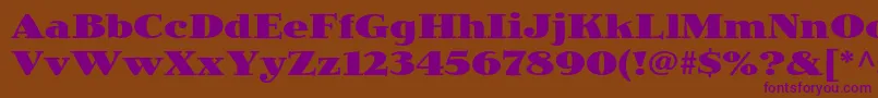 JimbostdBlack Font – Purple Fonts on Brown Background