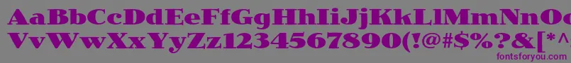 Шрифт JimbostdBlack – фиолетовые шрифты на сером фоне
