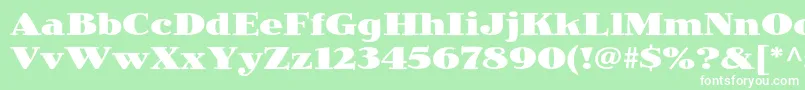 JimbostdBlack Font – White Fonts on Green Background