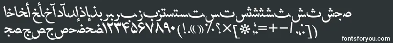 HafizpersianttItalic Font – White Fonts