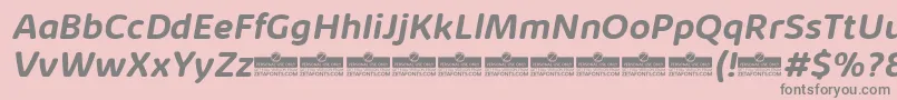 KabrioSoftBoldItalicTrial Font – Gray Fonts on Pink Background