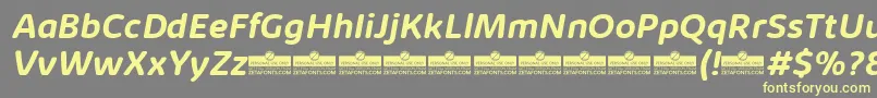 KabrioSoftBoldItalicTrial Font – Yellow Fonts on Gray Background