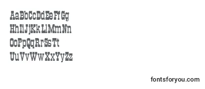 Review of the Traktirc Font