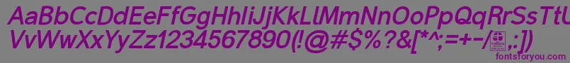 MalterSansBoldItalicDemo-fontti – violetit fontit harmaalla taustalla