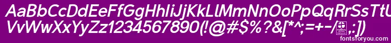 MalterSansBoldItalicDemo Font – White Fonts on Purple Background