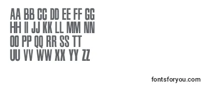 MetalGearSolid2-fontti